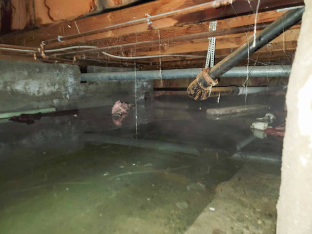 Best Water damage restoration cost  in Ashley, OH