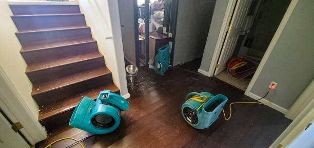 Best Water damage repair service  in Ashley, OH