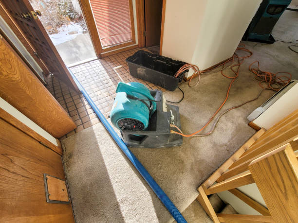 Water damage restoration mold remediation in OH