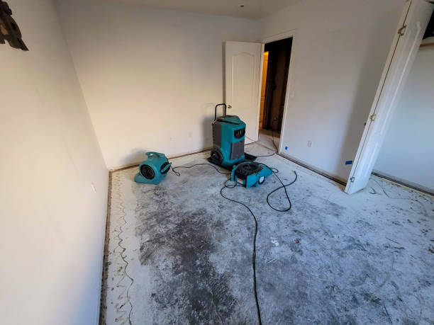  Ashley, OH Water damage restoration Pros