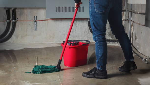 Best 24/7 water damage repair  in Ashley, OH