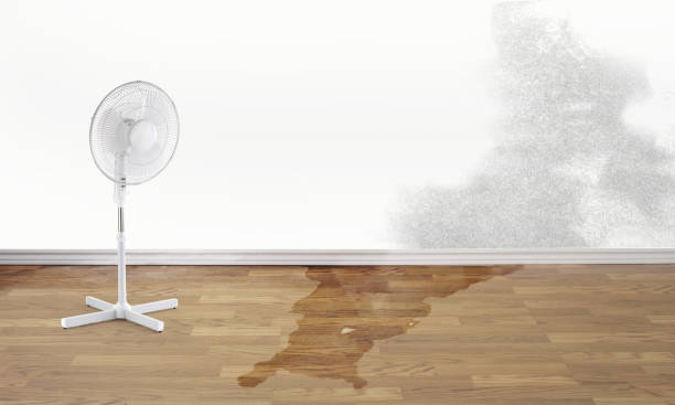 Best Commercial water damage restoration  in Ashley, OH