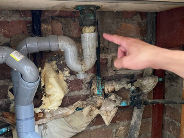 Best 24-hour water damage restoration  in Ashley, OH