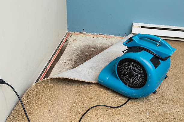  Ashley, OH Water damage restoration Pros